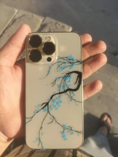 Apple iPhone 13 Pro