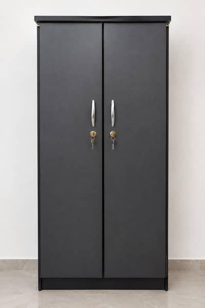 2Door wardrobe/ Almari with shelves & hanging space