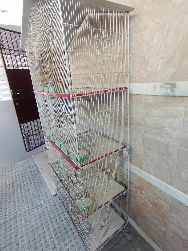 7 portion cage — photo 4
