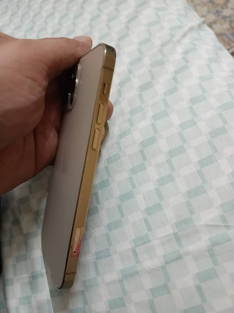 Apple iPhone 12 Pro 2