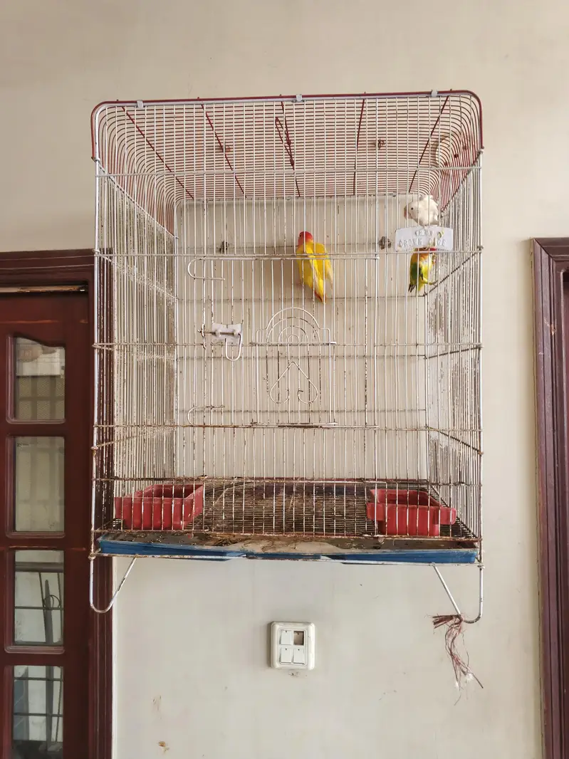 urgent sale — photo 3