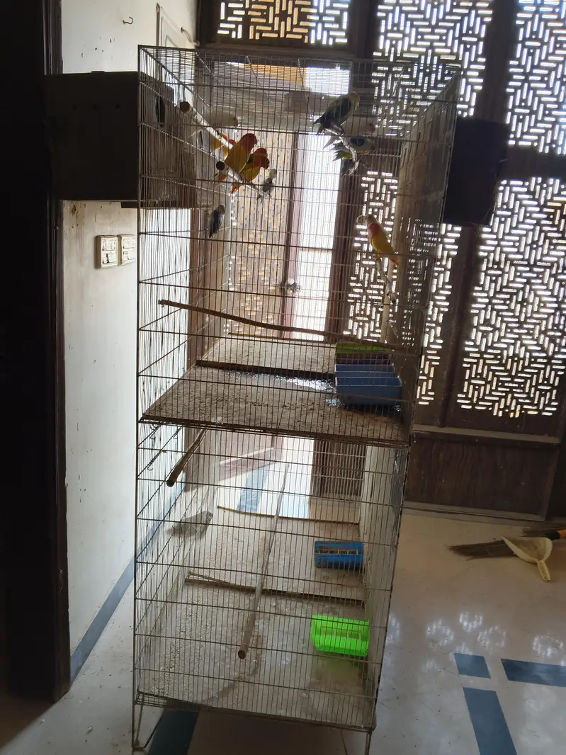 urgent sale — photo 4