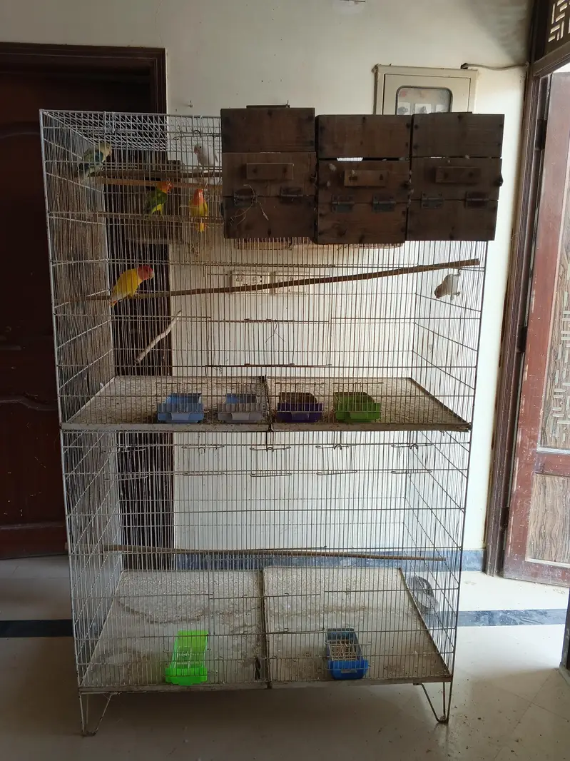urgent sale — photo 5