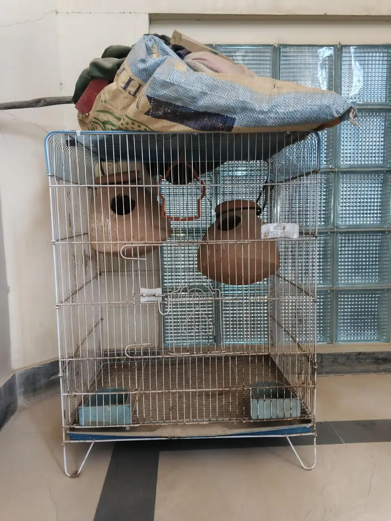 urgent sale — photo 8
