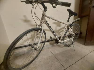 White Bicycle