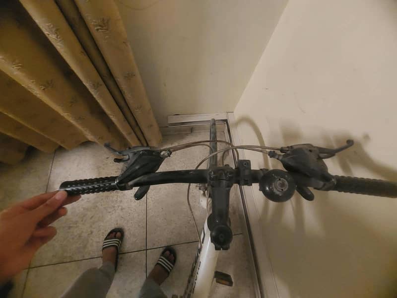 White Bicycle 1