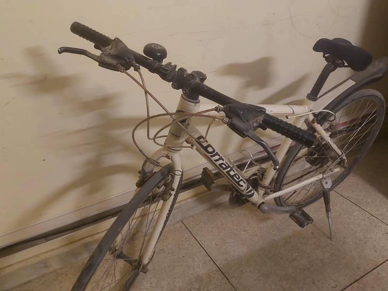 White Bicycle 6