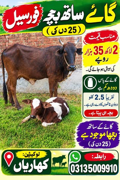 cow sath wacha 1 month ka 3 bakrian