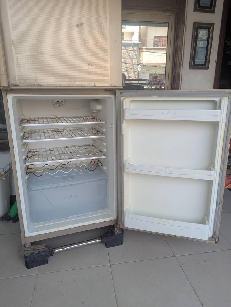 fridge 3