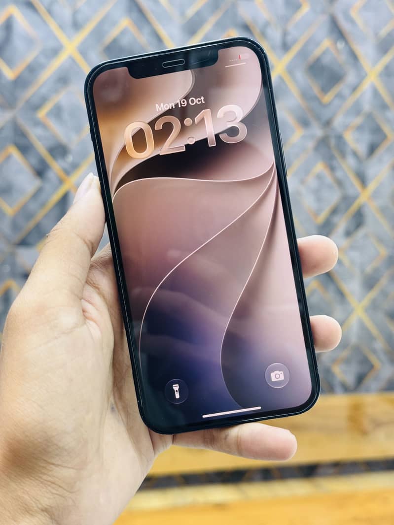Apple iPhone 12 1