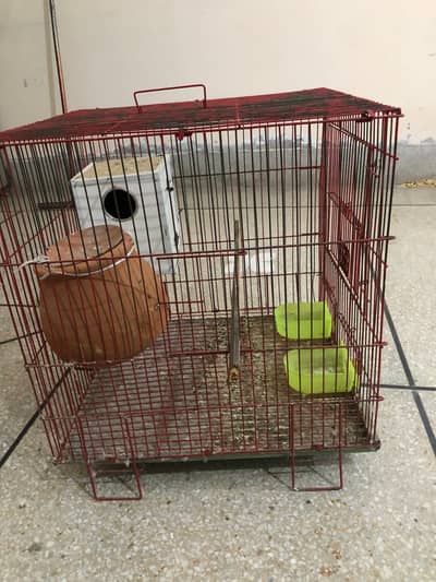 parrots cage all ok