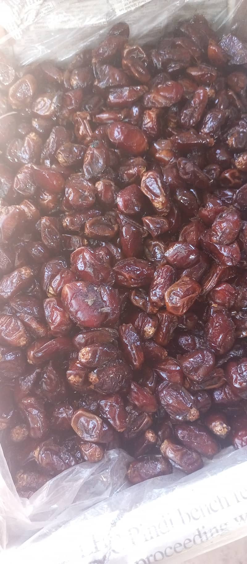 ""سکھری چھوہارا""+""سکری کھجور"" 3