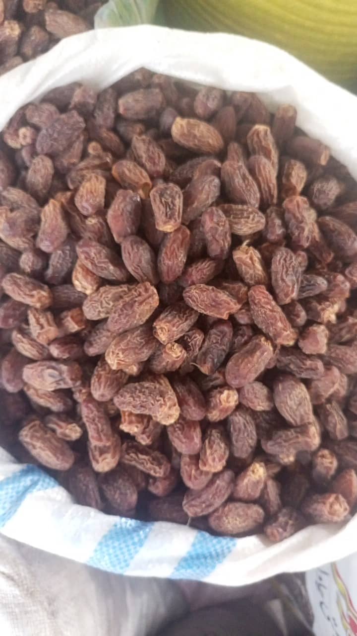 ""سکھری چھوہارا""+""سکری کھجور"" 6