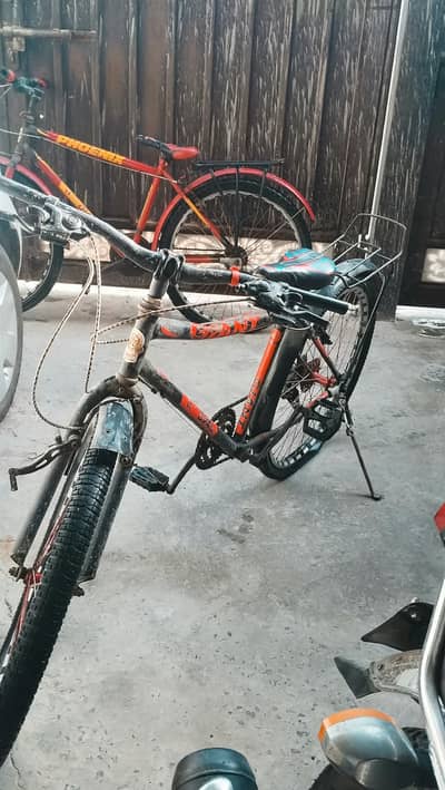 3- Cycle for sale