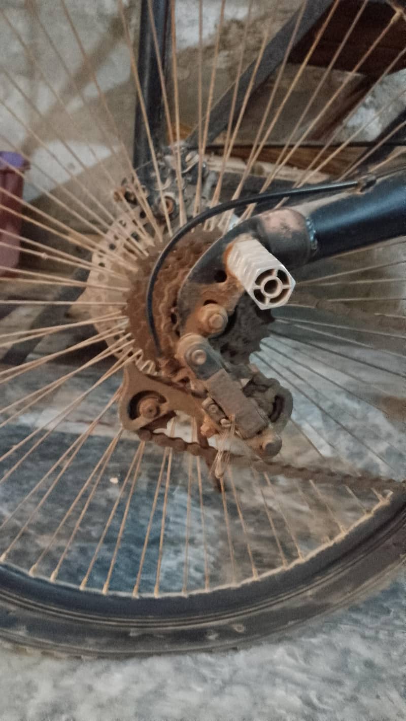 bicycles 2