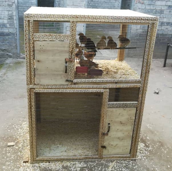 Solid Build Cage 0