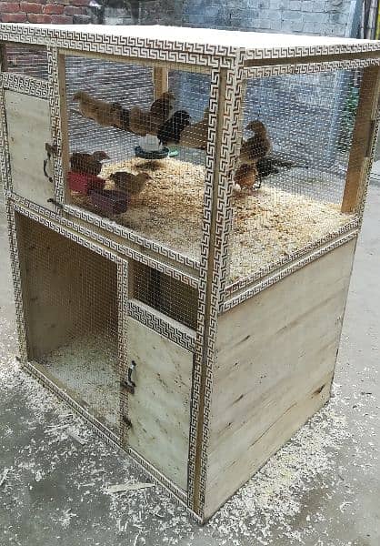 Solid Build Cage 1
