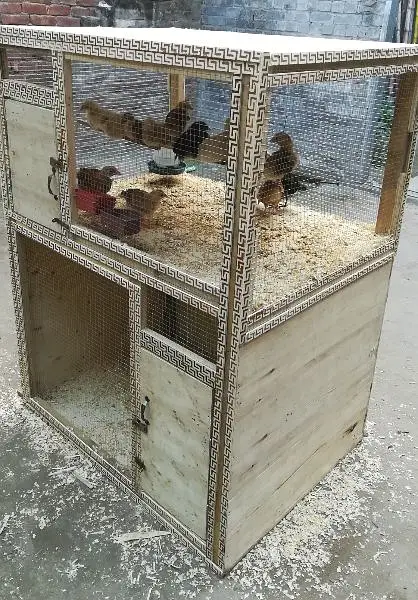 Solid Build Cage — photo 2