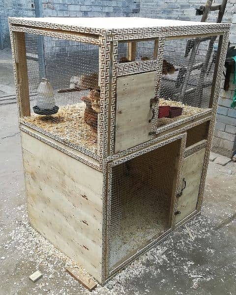 Solid Build Cage 2