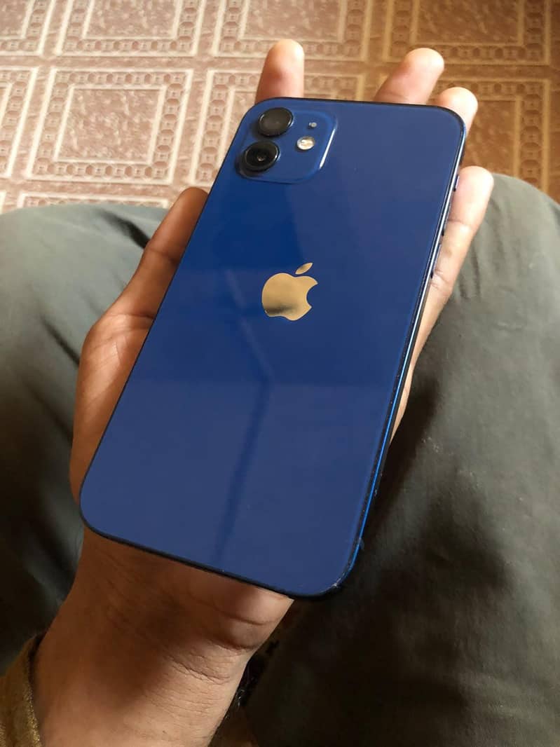 Apple iPhone 12 1