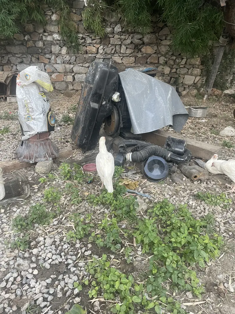 White heera phatiyan — photo 2