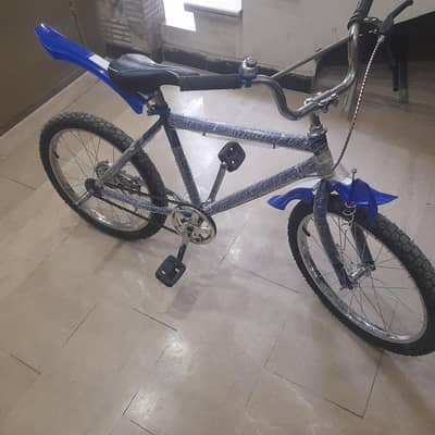 20 inches cycle