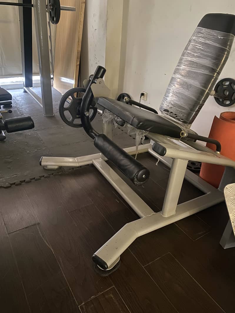 Smith Machine 10