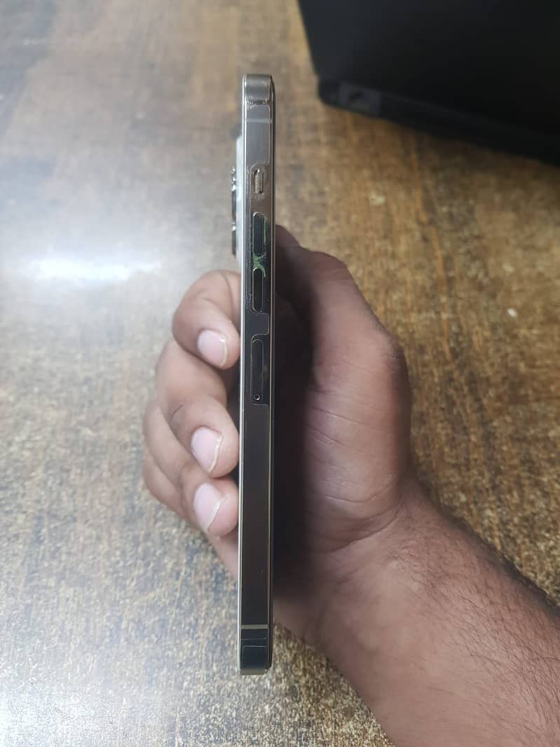Apple iPhone 13 Pro Max 0
