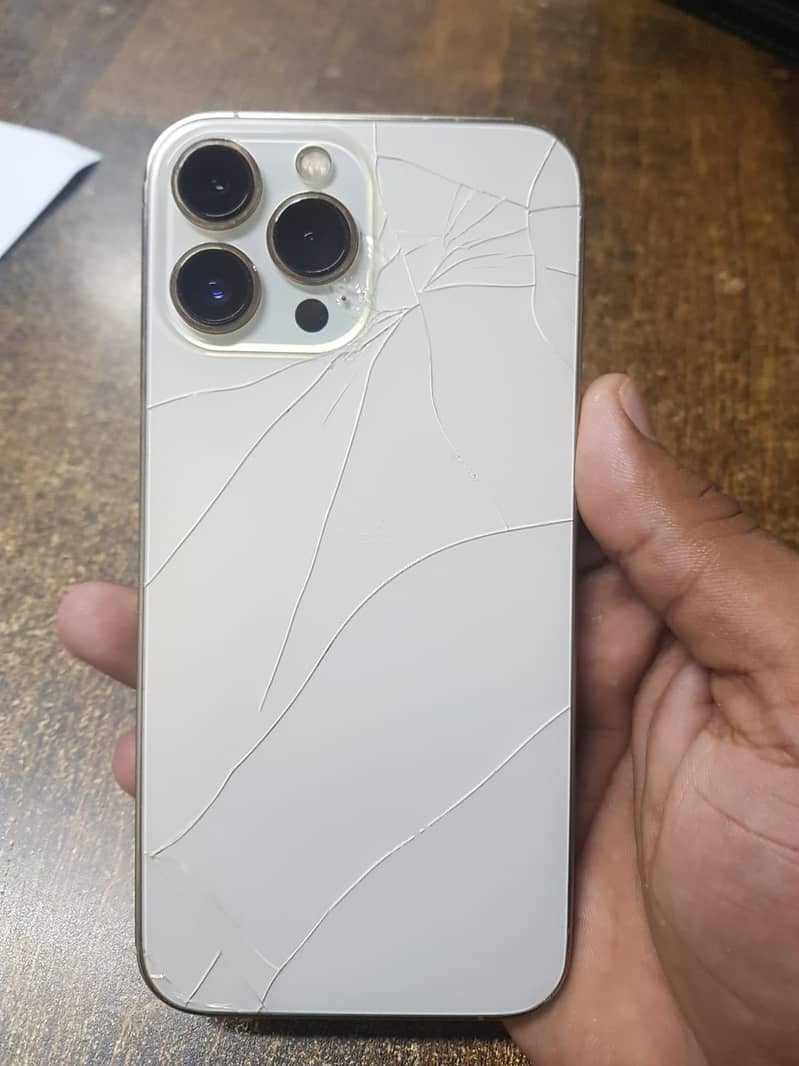 Apple iPhone 13 Pro Max 2
