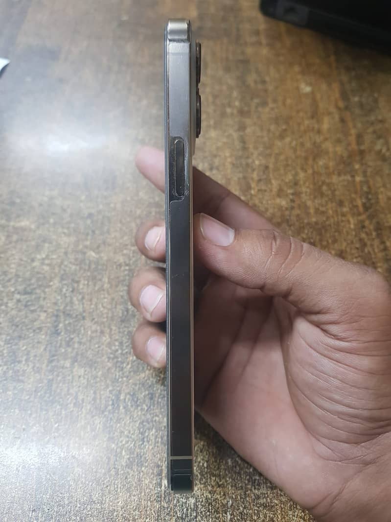 Apple iPhone 13 Pro Max 3