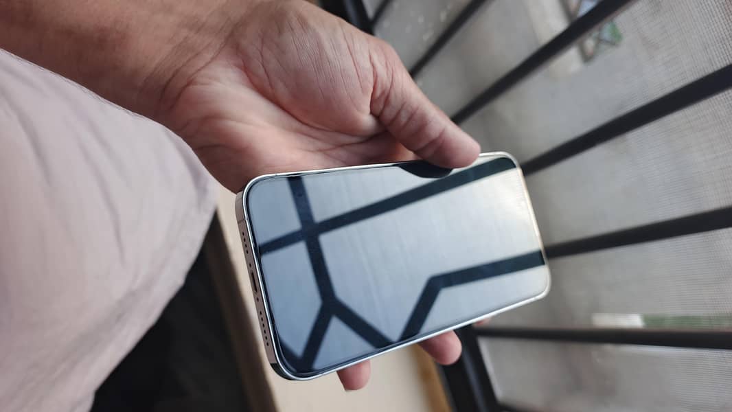 Apple iPhone 13 Pro Max 3
