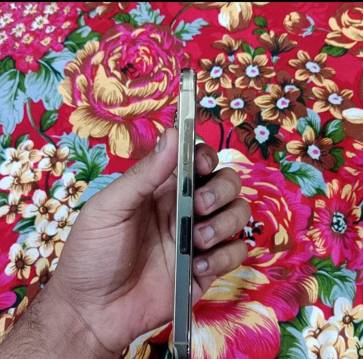 Apple iPhone 13 Pro 2