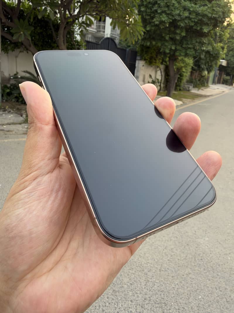 Apple iPhone 16 Pro Max 0