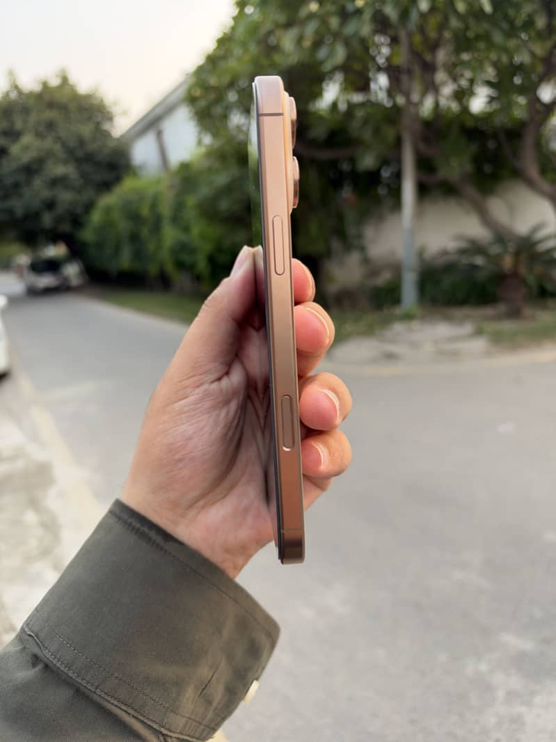 Apple iPhone 16 Pro Max 2