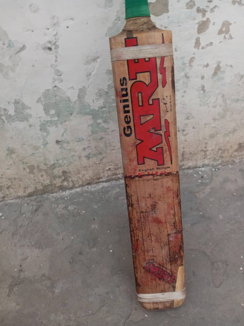 Cricket Bat 1