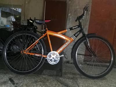 phoenix cycle condition new