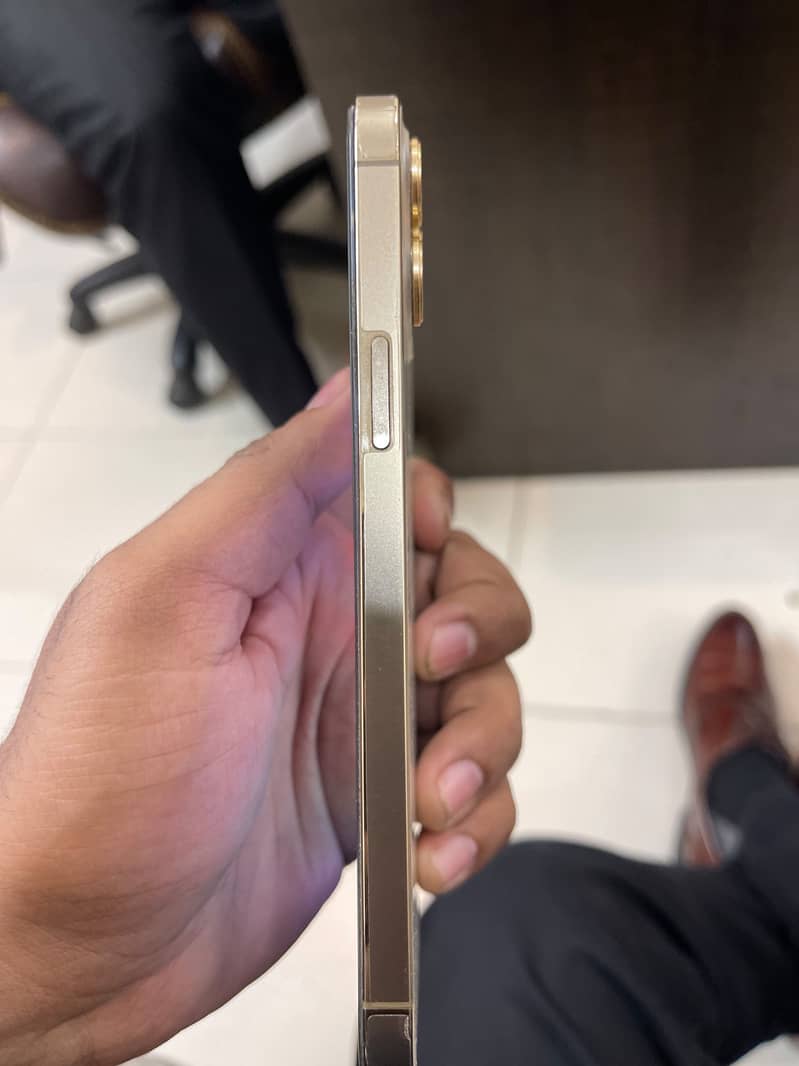 Apple iPhone 12 Pro Max 1