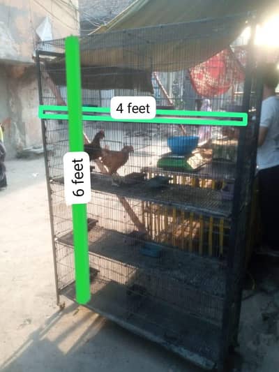 Birds & Pigeon cage
