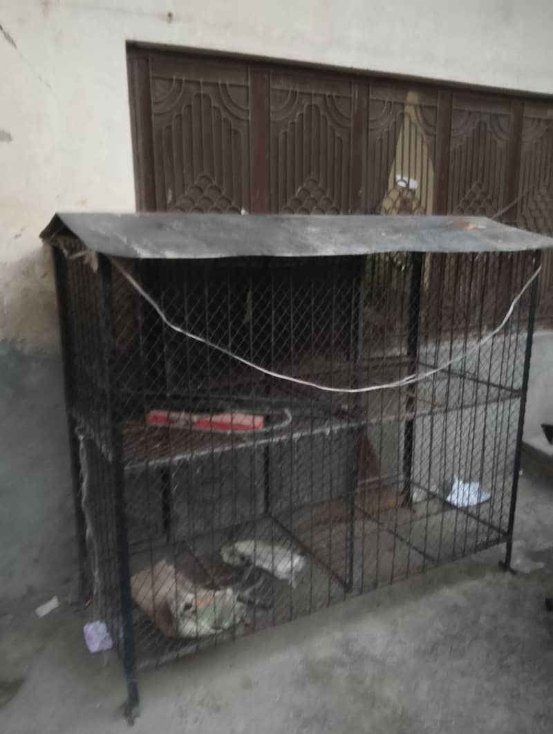 Solid iron cage with angles 1
