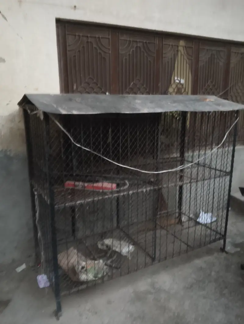 Solid iron cage with angles — photo 2