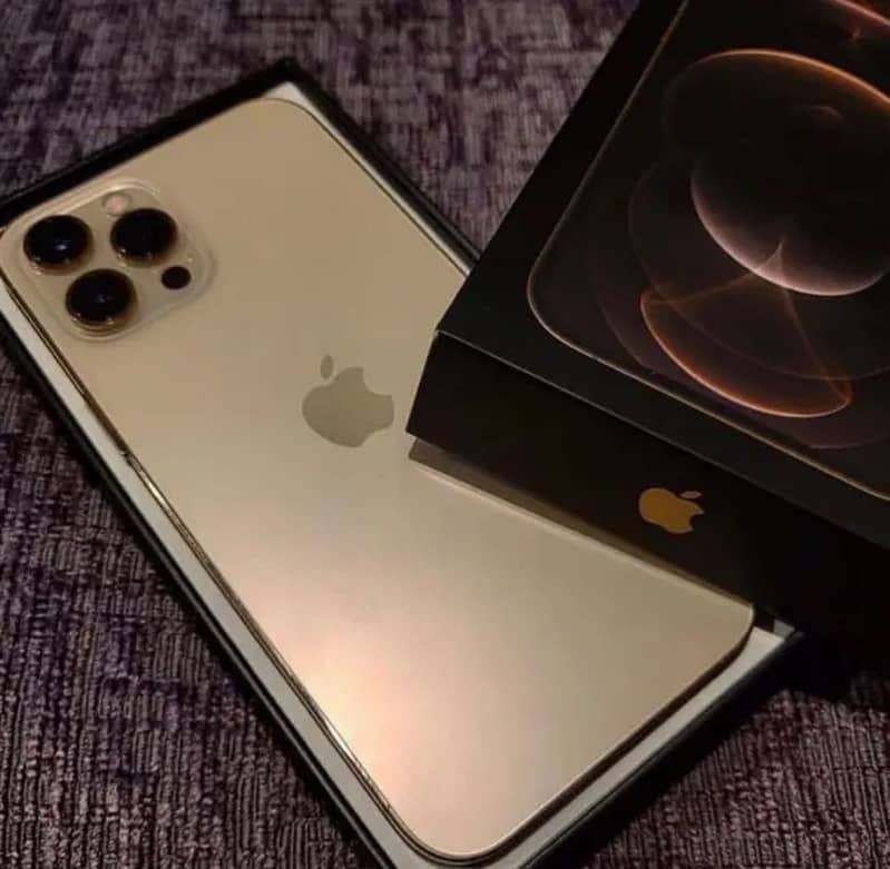 Apple iPhone 12 Pro Max 2