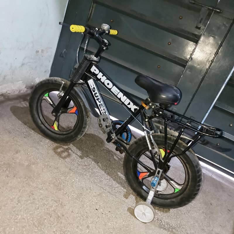 16 inch Bicycle 0