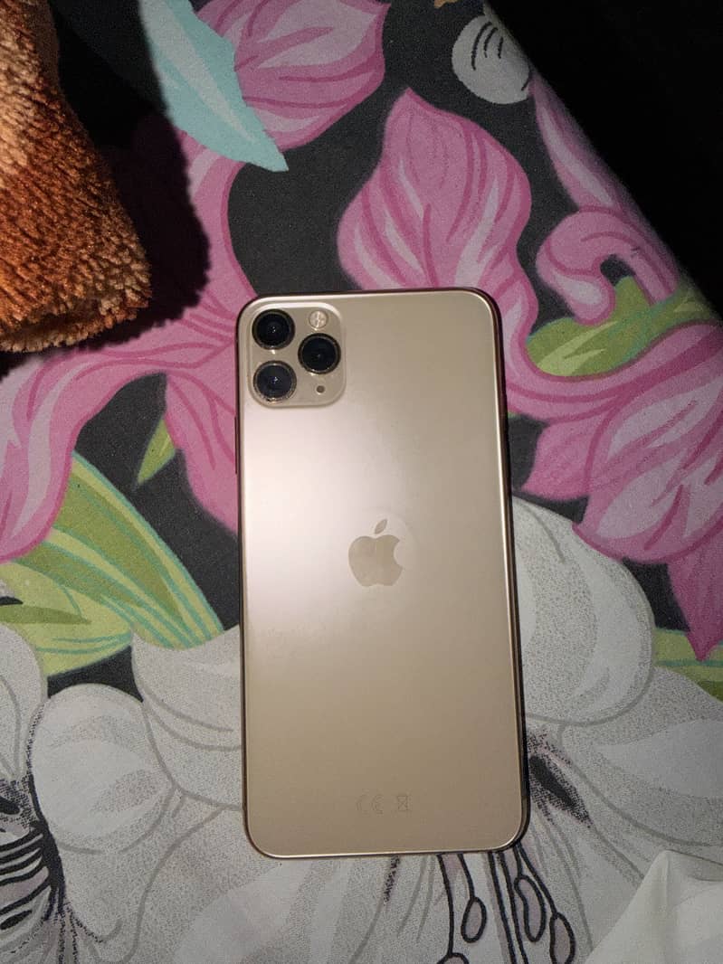 Apple iPhone 11 0