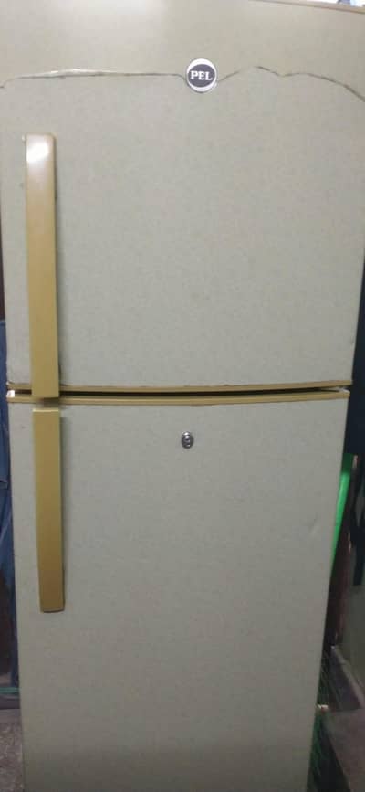pel medium fridge sale