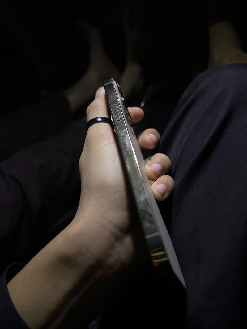 Apple iPhone 13 Pro Max 0
