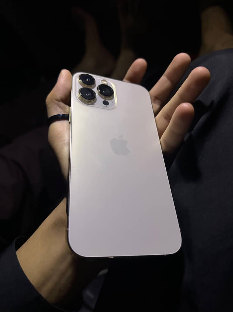 Apple iPhone 13 Pro Max 2