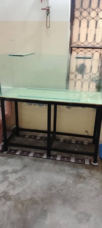 4feet aquarium 12mm glass and heavy imported iron trolly