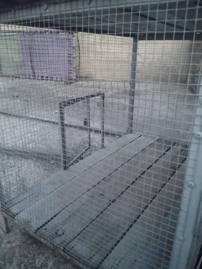 Heavy Duty Large Iron Cage for Sale (Birds / Poultry / Rabbits)