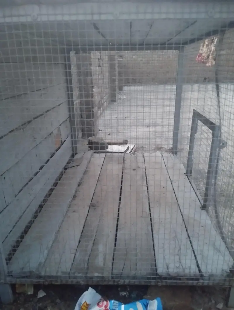 Heavy Duty Large Iron Cage for Sale (Birds / Poultry / Rabbits) — photo 2