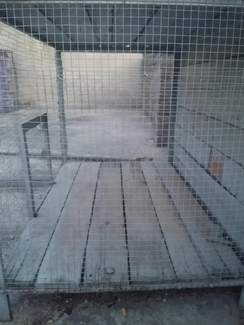 Heavy Duty Large Iron Cage for Sale (Birds / Poultry / Rabbits) — photo 3